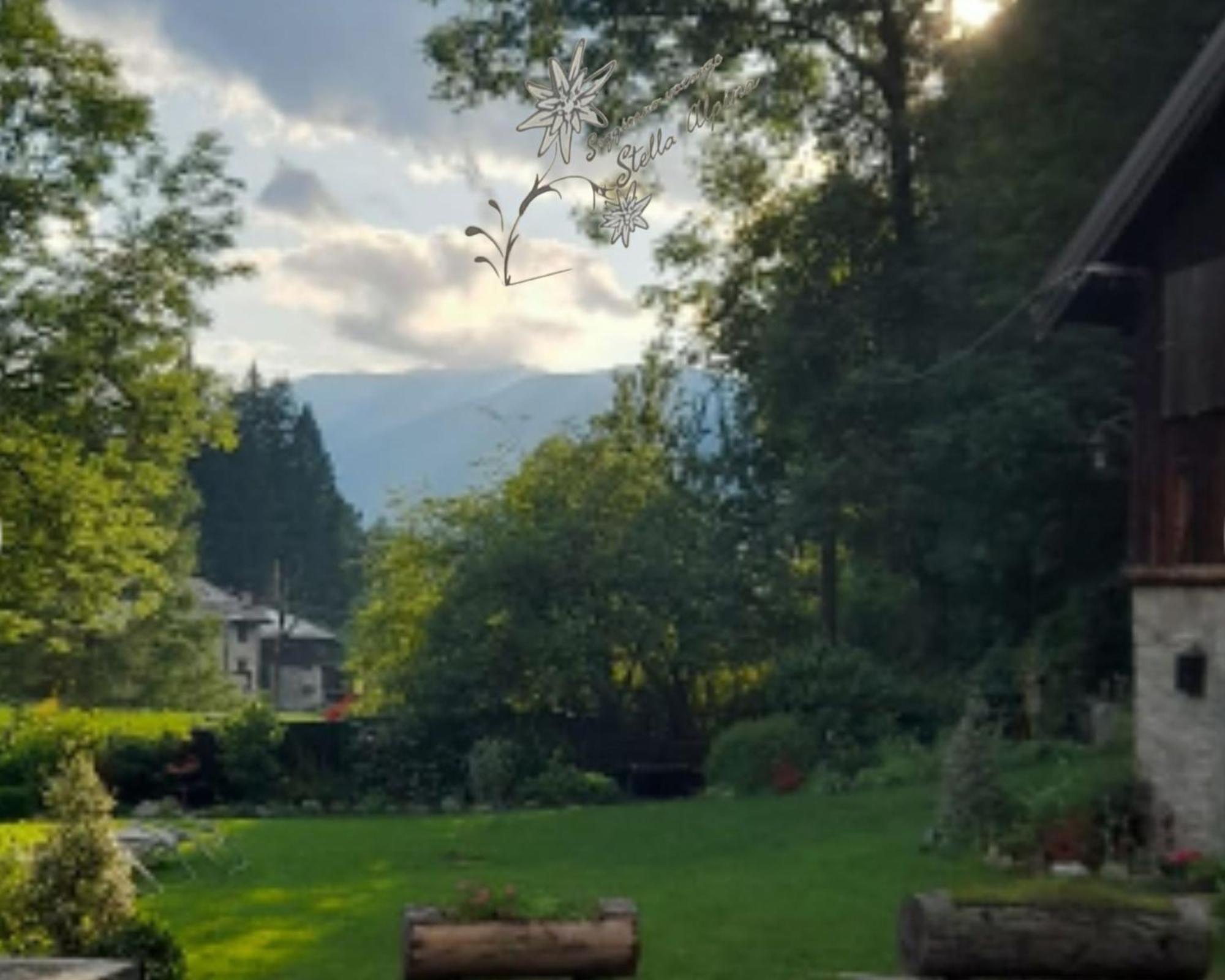 Soggiorno Vacanze Stella Alpina Temu Room photo